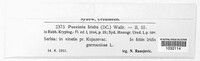 Puccinia iridis image